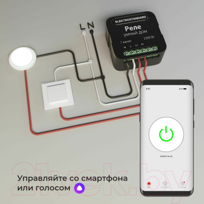 Умное реле Elektrostandard 76006/00