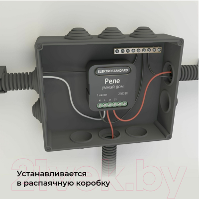 Умное реле Elektrostandard 76006/00