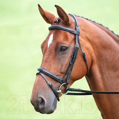 Оголовье для лошади Salisbury Bodenham PONY / 293/BLACK/PONY