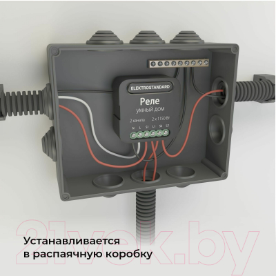 Умное реле Elektrostandard 76007/00