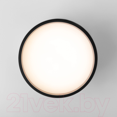 Светильник Elektrostandard Banti 13W 25123/LED