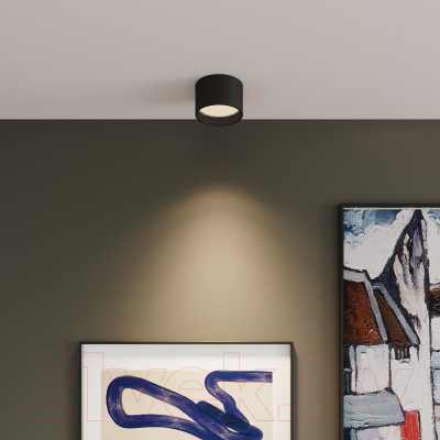 Светильник Elektrostandard Banti 13W 25123/LED