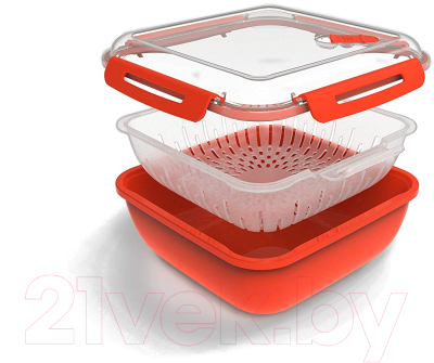 Контейнер Rotho Memory / 1025202792 (красный)