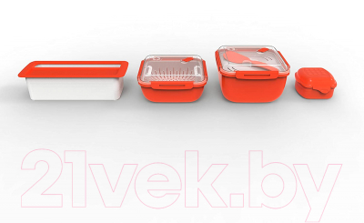 Контейнер Rotho Memory / 1025202792 (красный)