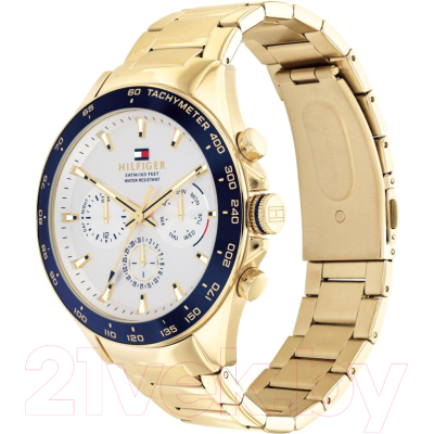 Часы наручные мужские Tommy Hilfiger 1791969