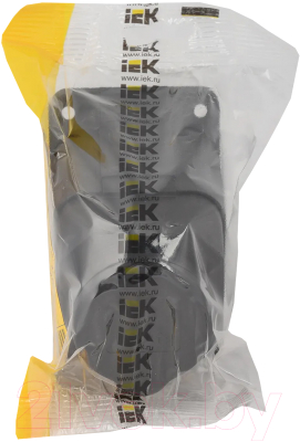 Розетка IEK Омега PKR22-016-2-K02