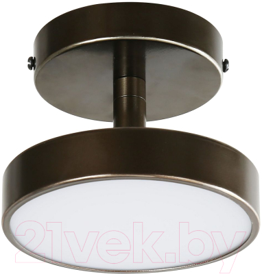 Потолочный светильник FAVOURITE 3060-1P - фото