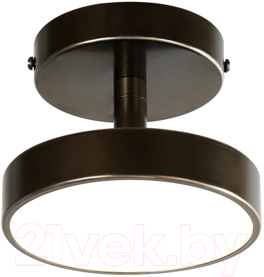 Потолочный светильник FAVOURITE 3060-1P