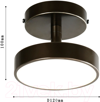 Потолочный светильник FAVOURITE 3060-1P
