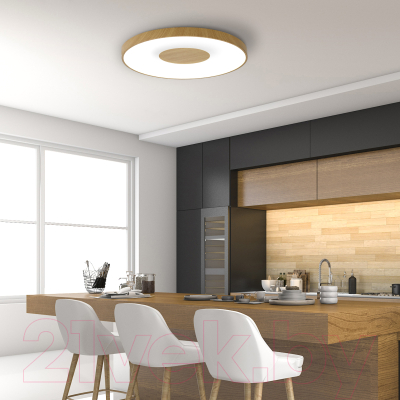 Потолочный светильник Mantra Coin 7562