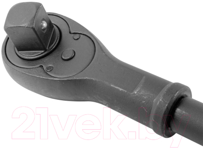 Трещотка Forsage F-8028600MPB