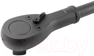 Трещотка Forsage F-8028600MPB