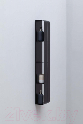 Полка для ванной Aquanet Магнум 302226