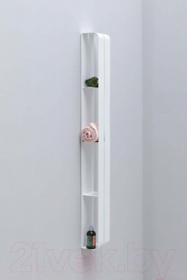 Полка для ванной Aquanet Магнум 302239