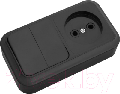 Блок выключатель+розетка Bylectrica 2В-РЦ-523 / 523ч - фото