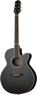 Акустическая гитара Naranda F303CBK - фото