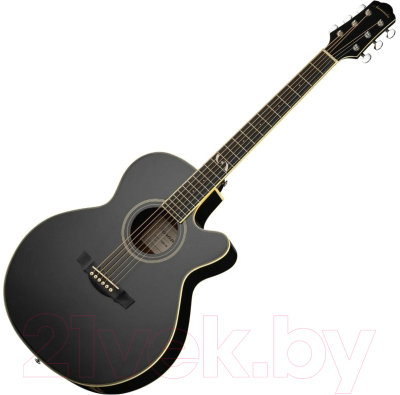 Акустическая гитара Naranda F303CBK