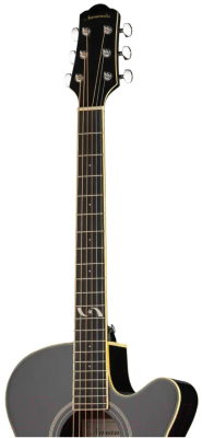 Акустическая гитара Naranda F303CBK