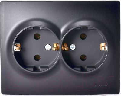 Розетка Lezard Karina 707-4200-127B - фото