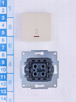 Выключатель Lezard Vesna 742-0388-112
