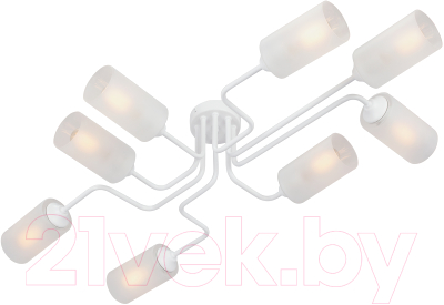 Люстра Vitaluce V4310-0/8PL - фото