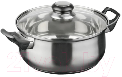 Кастрюля Astell RW1201-LQ-20C