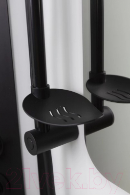 Душевая кабина Niagara NG-6902-01GD Black 100x100x220