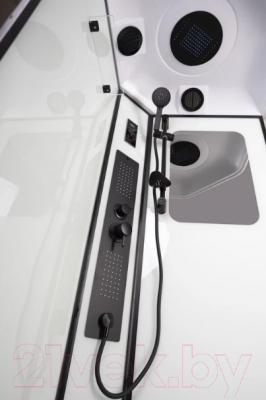 Душевая кабина Niagara NG-6902-01GD Black 100x100x220