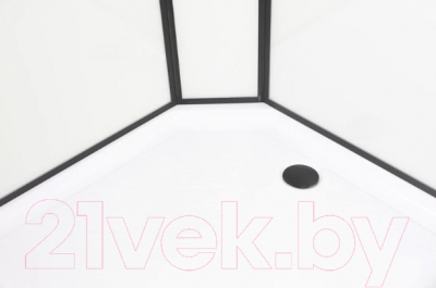 Душевая кабина Niagara NG-6902-01GD Black 100x100x220