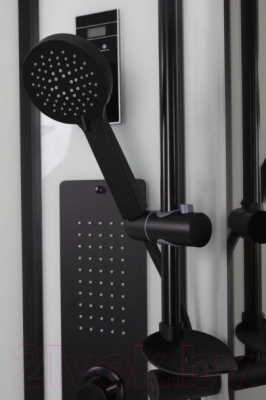 Душевая кабина Niagara NG-6902-01GD Black 100x100x220