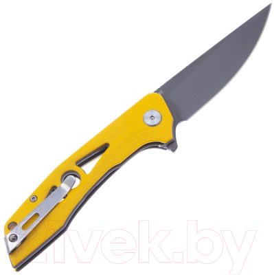 Нож складной Bestech Knives Eye of Ra BG23C