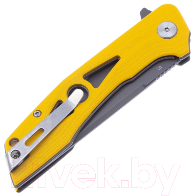 Нож складной Bestech Knives Eye of Ra BG23C