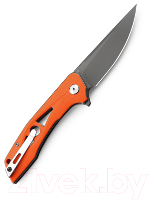 Нож складной Bestech Knives Eye of Ra BG23D