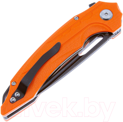 Нож складной Bestech Knives Ornetta BG50C