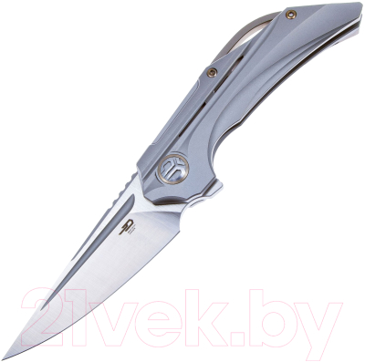 Нож складной Bestech Knives Vigil BT2201A - фото