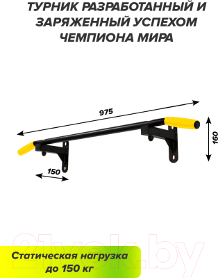 Турник Absolute Champion HIT