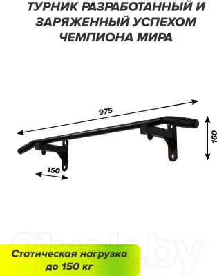 Турник Absolute Champion HIT