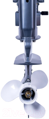 Мотор лодочный Seanovo SN30FFES