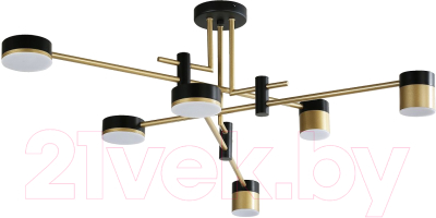 Люстра FAVOURITE 4013-6P - фото