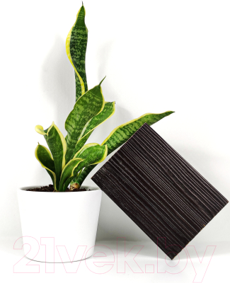 Морилка HELIOS Ekohel Венге