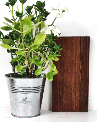 Морилка HELIOS Ekohel Махагон