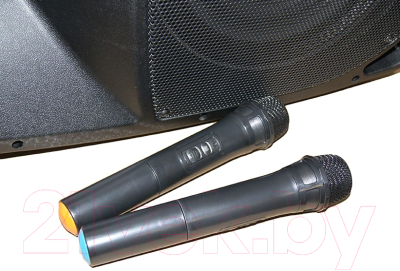 Сценический монитор Leem PR-12HR