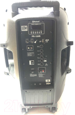 Портативная акустика Leem PR-15HR