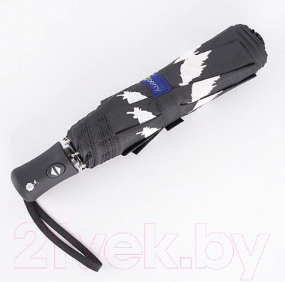 Зонт складной Rain Berry 734-7344