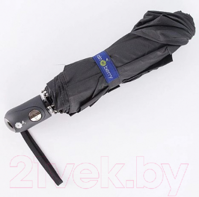 Зонт складной Rain Berry 734-SRM015