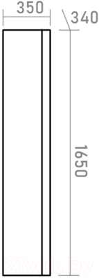 Шкаф-пенал для ванной Brevita Dallas 35 / DAL-05035-31