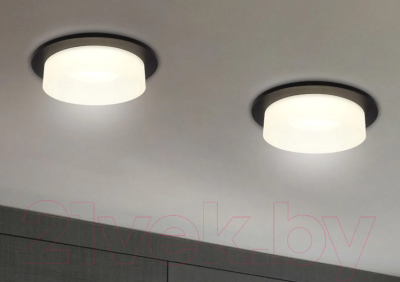 Точечный светильник Ambrella TN1312 SBK/FR