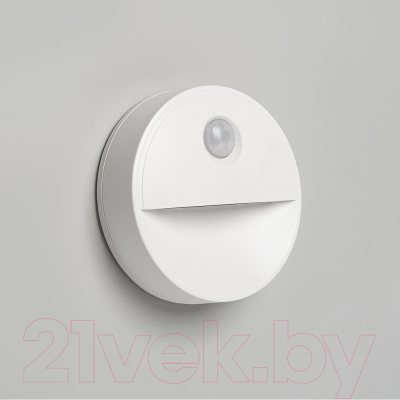 Светильник Feron FN1221 / 41882