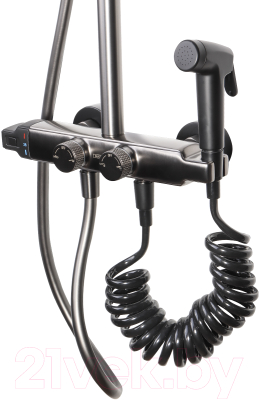 Душевая система Maxonor Pure Life MN2485-7