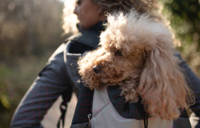 Рюкзак-переноска Ferplast Kangoo L / 85748321 (серый)